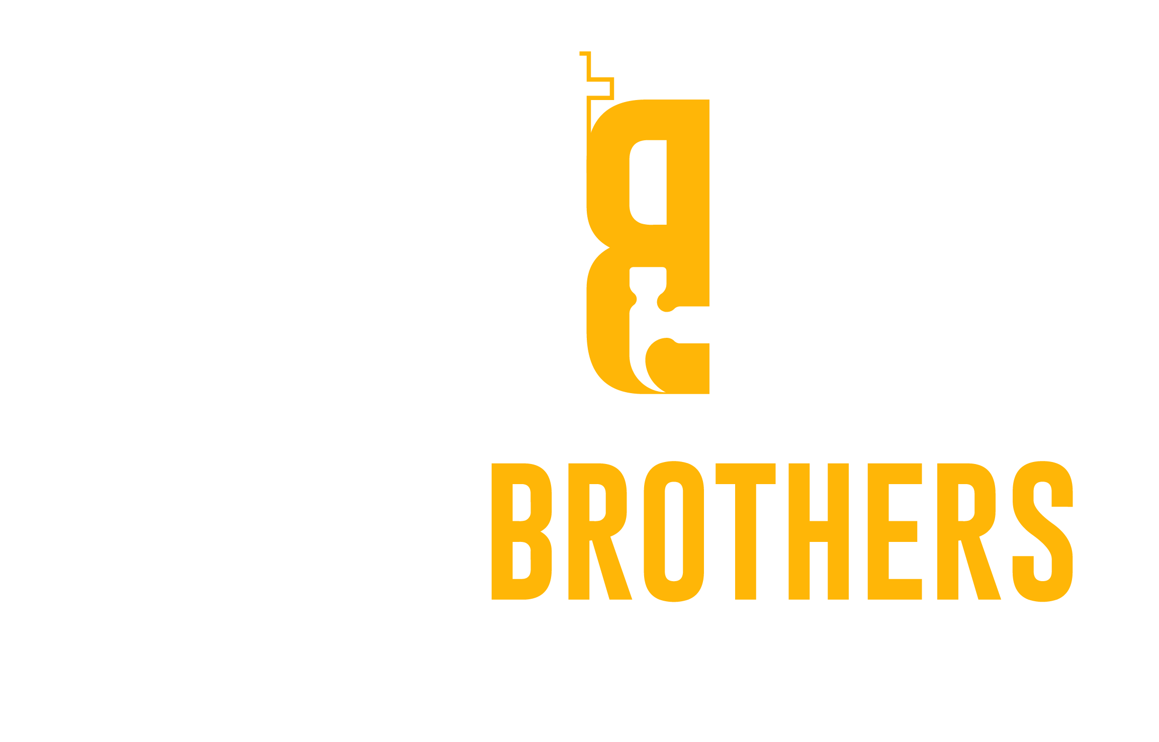 Braga Brothers